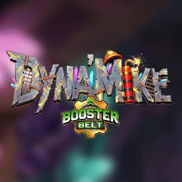 Dyna'Mike Booster Belt