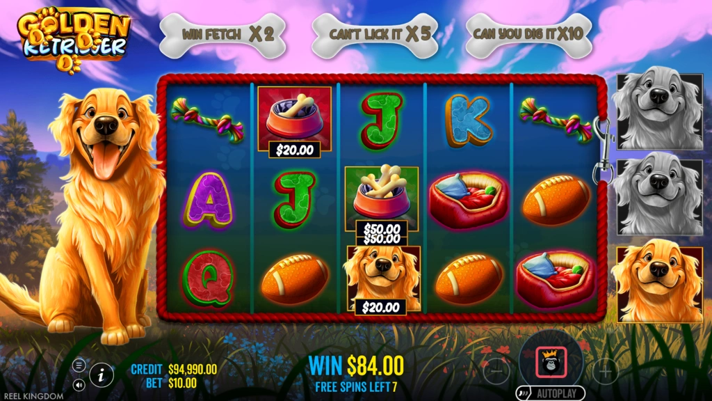 Golden Retriever Cash Collect Golden Retriever Cash Collect